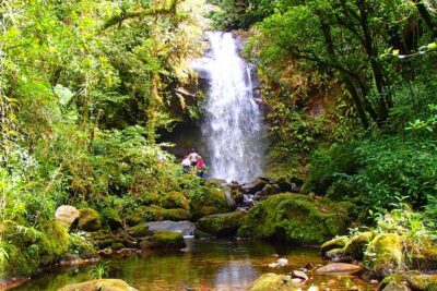 Cloud Forest Wildlife Hike 8:30am (Minimum of 2 people required ) - The 8:30am Morning: How the Trip Begins in Boquete