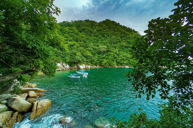 Coastal and Jungle Hiking Tour along 6 Beaches of Puerto Vallarta - Playa Las Ánimas: Seafood Finish, Marine Life, and the Fun Beach Atmosphere