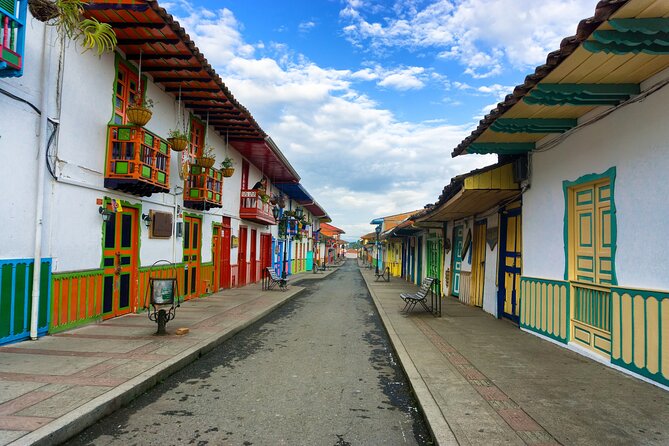 Cocora Valley and Salento Hike Tour - Cocora Valley: where wax palms and UNESCO coffee culture meet