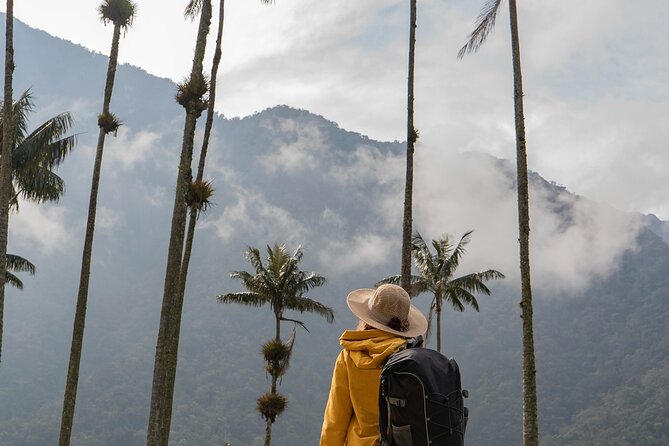 Cocora Valley and Salento Hike Tour - Price and logistics: what your $99 buys (and what it doesn’t)