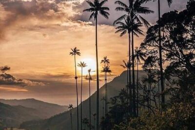 Cocora Valley and Salento Hike Tour - Choosing the right hiking day: timing, weather, and comfort moves