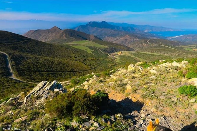 Costa Brava and Girona Small Group Easy Hike from Barcelona - Key highlights worth showing up for