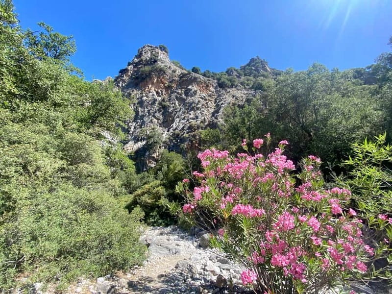 Crete: Kritsa Canyon Guided Hiking Tour - Why Kritsa Canyon hiking feels like real Crete