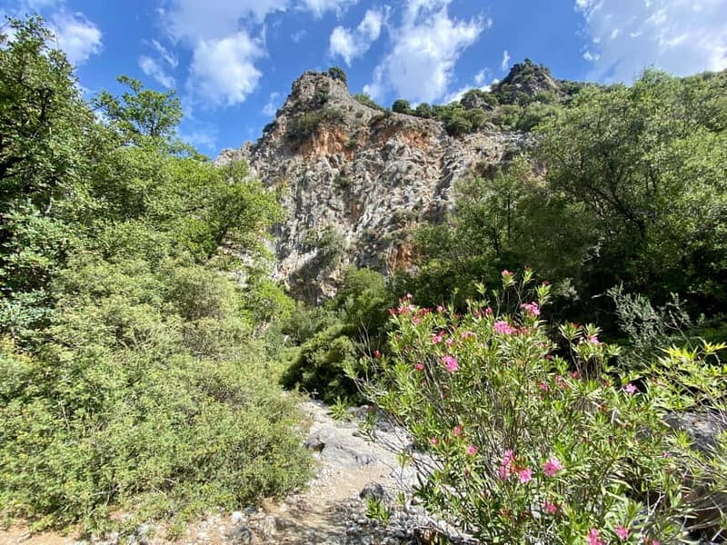 Crete: Kritsa Canyon Guided Hiking Tour - Guide attention and safety without making it stiff