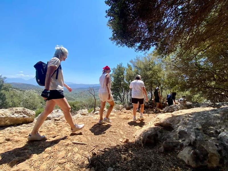 Crete: Kritsa Canyon Guided Hiking Tour - Planning details that can matter more than you think