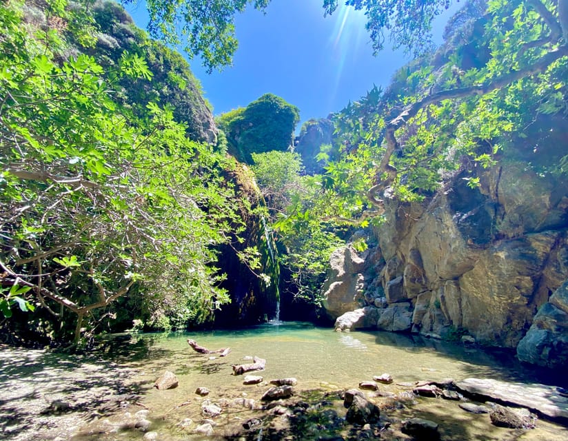 Crete: Richtis Gorge & Waterfall Guided Hiking Tour - The Hike Start: What You’ll See in Richtis Gorge