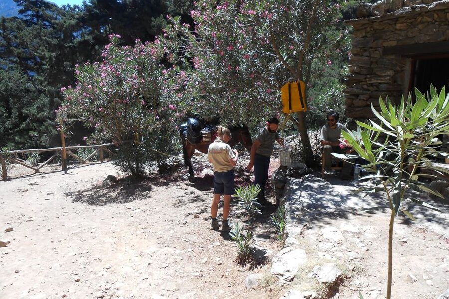 Crete: Samaria Gorge Hiking with transfer and expert Escort - Why Samaria Gorge Still Feels Wild on Crete’s South Coast