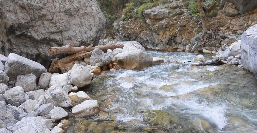 Crete: Samaria Gorge Hiking with transfer and expert Escort - Agia Roumeli Midday Reset: Taverns, Toilets, and Sea Time