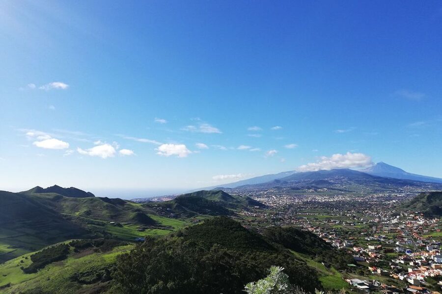 Cruz del Carmen: Hiking in Anaga with Local Food Products - Laurel forest magic: what you’ll notice on the way down