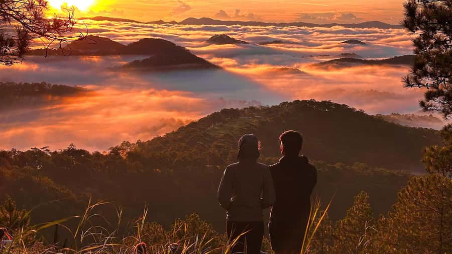 Dalat: Hiking the Mountain to observe the cloud and sunrise - 4.5 km Through Forests: The Climb, the Flora, and the 1697 m Goal