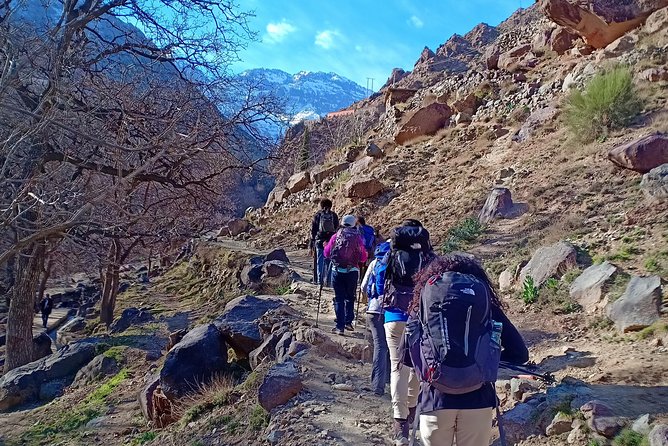 Day trip from Marrakech to atlas mountains & Berber village hike - Imlil Terraces and the Pause for Barley, Corn, Cherries, and Walnuts