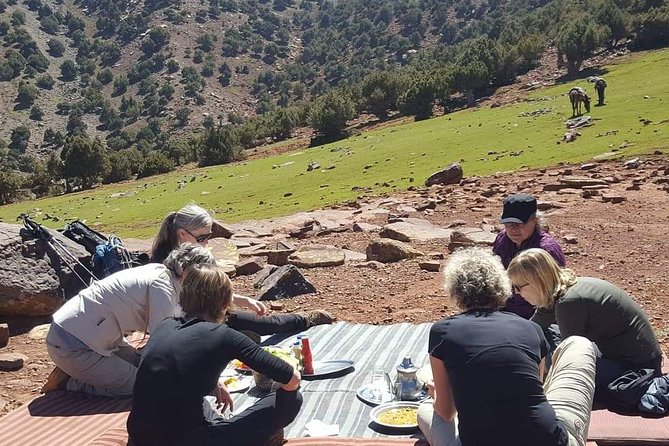 Day trip from Marrakech to atlas mountains & Berber village hike - Price and Logistics: What $34.99 Gets You in a Real Day
