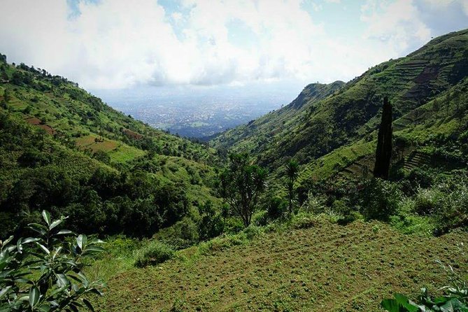 Day trip Hiking to Uluguru Mountains-Choma Waterfalls - Key highlights you’ll care about