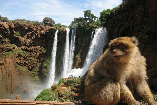 Day Trip To Ouzoud Waterfalls (Guide Hike & Boat are options) - Lunch near the falls: plan for extra spending