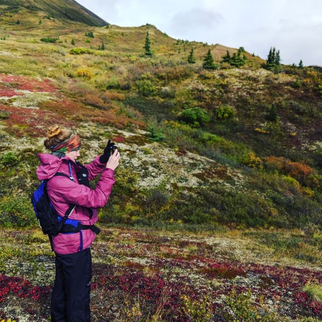 Denali: 5-Hour Guided Wilderness Hiking Tour - Key things that make this Denali hike worth your time