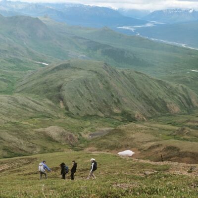 Denali: 5-Hour Guided Wilderness Hiking Tour - Hotel Pickup to State-Managed Wilderness: Where You Start Matters
