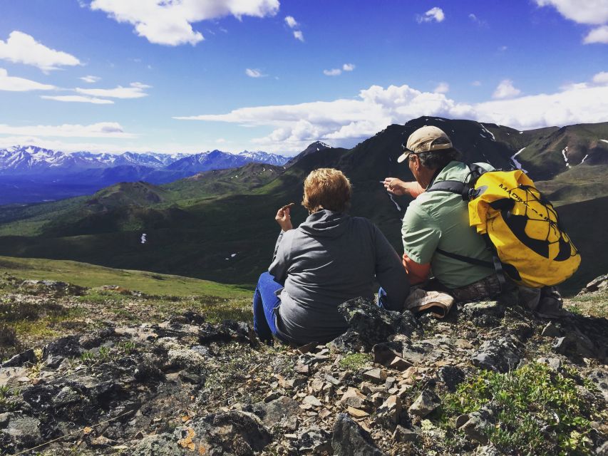 Denali: 5-Hour Guided Wilderness Hiking Tour - Who This Denali Hike Fits Best (and Who Should Pass)