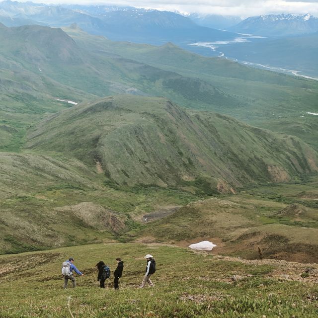Denali: 5-Hour Guided Wilderness Hiking Tour - Hotel Pickup to State-Managed Wilderness: Where You Start Matters