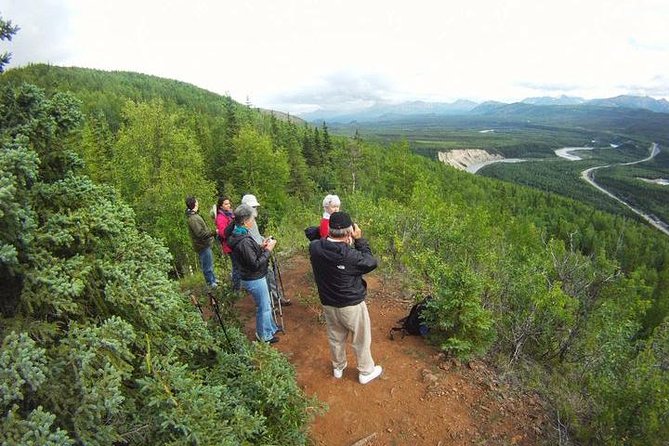 Denali 5 Hour Hiking Tour with Naturalist Guide - Key highlights