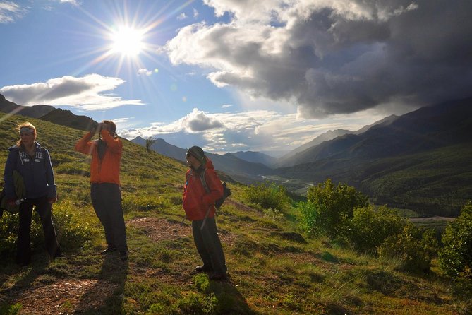 Denali 5 Hour Hiking Tour with Naturalist Guide - The real vibe: a tough five-hour introduction to Denali