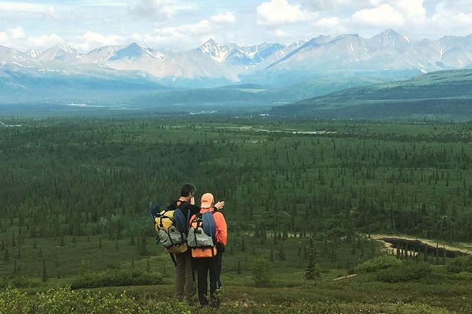 Denali 5 Hour Hiking Tour with Naturalist Guide - Stop 1 at Denali National Park: narrated hiking with glacier-topology focus