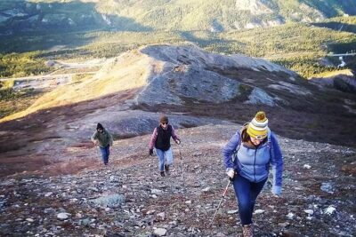 Denali 5 Hour Hiking Tour with Naturalist Guide - Timing and pickup: start at 11:15am, plan around hotel logistics