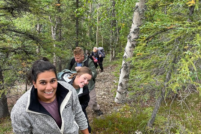 Denali Alaska Range 5hr Mountain Hike w/Views & Naturalist Guide - Key Points You’ll Notice Right Away