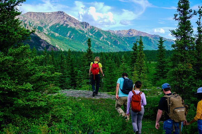 Denali Off-Trail Hiking Adventure (4 Hours) w/Expert Naturalist - Wildlife Clues You Can Actually Spot