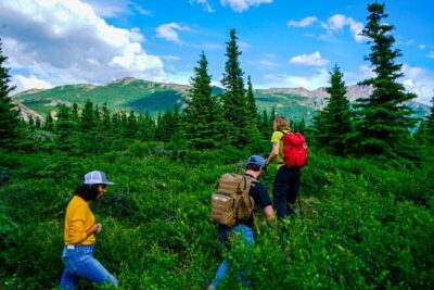 Denali Off-Trail Hiking Adventure (4 Hours) w/Expert Naturalist - The Boreal Forest and Tundra Walk: How It’s Guided