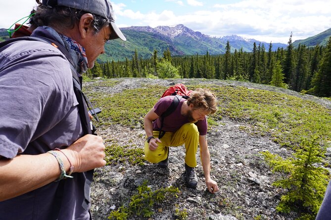 Denali Off-Trail Hiking Adventure (4 Hours) w/Expert Naturalist - Cultural Stories That Make the Science Land