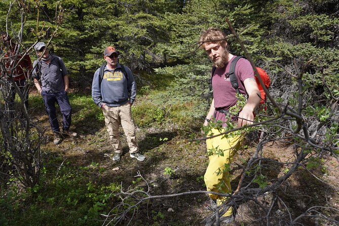 Denali Off-Trail Hiking Adventure (4 Hours) w/Expert Naturalist - Meet Your Naturalist: What Guides Are Doing Well
