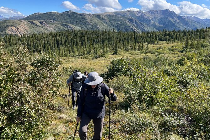 Denali Off-Trail Hiking Adventure (4 Hours) w/Expert Naturalist - Gear That Actually Helps (Rain Jackets and Trekking Poles Included)