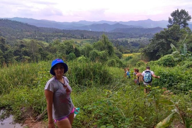Doi Inthanon Day Trip:Twin Pagodas,Soft Hiking,Coffee Plantation - Why Doi Inthanon Makes a One-Day Hit from Chiang Mai