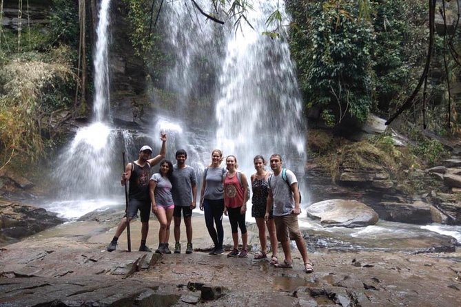 Doi Inthanon Day Trip:Twin Pagodas,Soft Hiking,Coffee Plantation - Hilltribe Villages and the Market Side of Northern Thailand