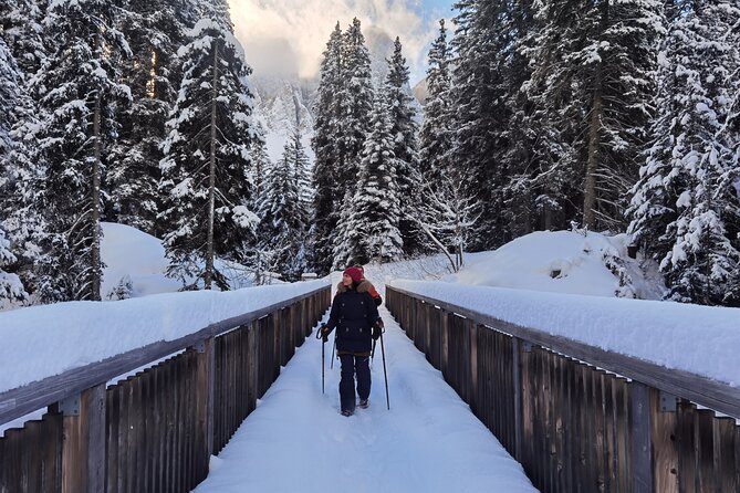 Dolomites of Bolzano Winter Hiking & Sledding Experience - Key Points You’ll Care About Before You Go
