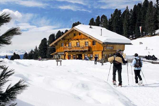 Dolomites of Bolzano Winter Hiking & Sledding Experience - If You Need More Altitude: Cable Car or Snowmobile Options