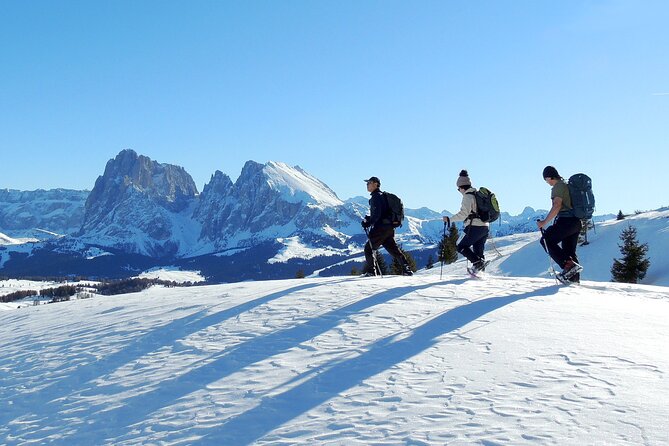 Dolomites of Bolzano Winter Hiking & Sledding Experience - Lunch at the Mountain Hut: Warm Stop, Own Expense