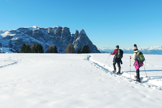 Dolomites of Bolzano Winter Hiking & Sledding Experience - What’s Included (So You Don’t Chase Gear at the Last Minute)