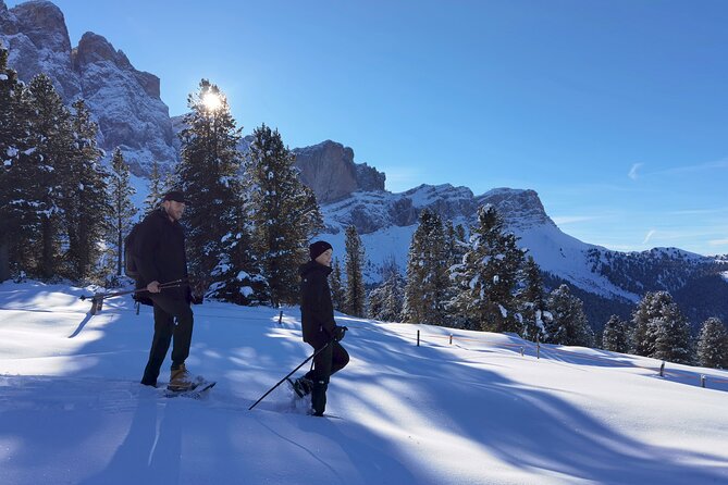 Dolomites of Bolzano Winter Hiking & Sledding Experience - Getting to the Trail: Pickup and Smooth Transport From Bolzano