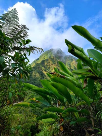 Dominica: Hiking tour to the boiling lake! - Starting Points and Getting There Without Making Your Day Messy