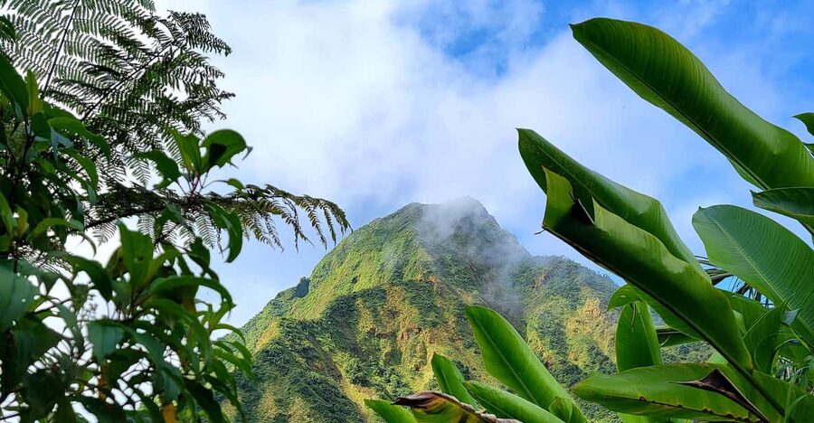 Dominica: Hiking tour to the boiling lake! - Titou Gorge After the Hike: A Short Slot-Canyon Swim Reset