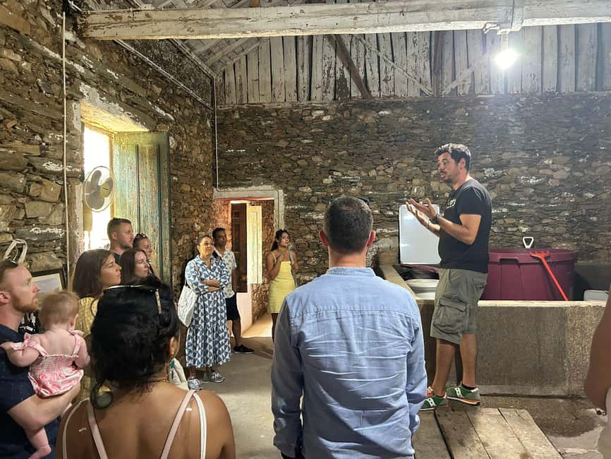 Douro valley: 10 km hike in the Valley - Wine tasting in Pinhão: more than just a pour