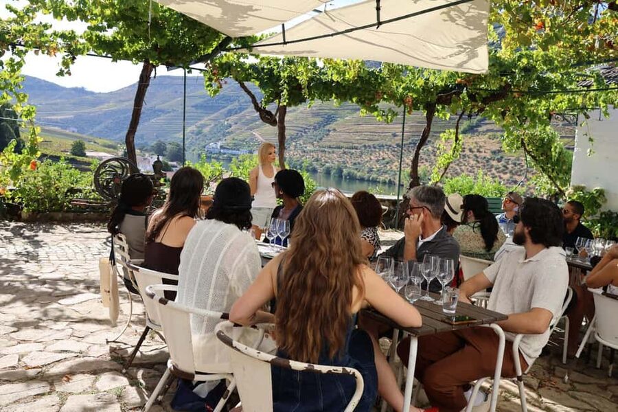 Douro valley: 10 km hike in the Valley - Drive back to Porto: ending with views instead of fatigue