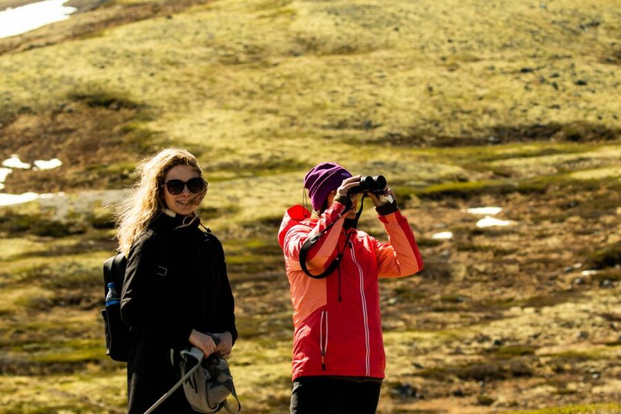 Dovrefjell National Park: Hiking Tour and Musk Ox Safari - What to bring for mountain weather (and why it matters)