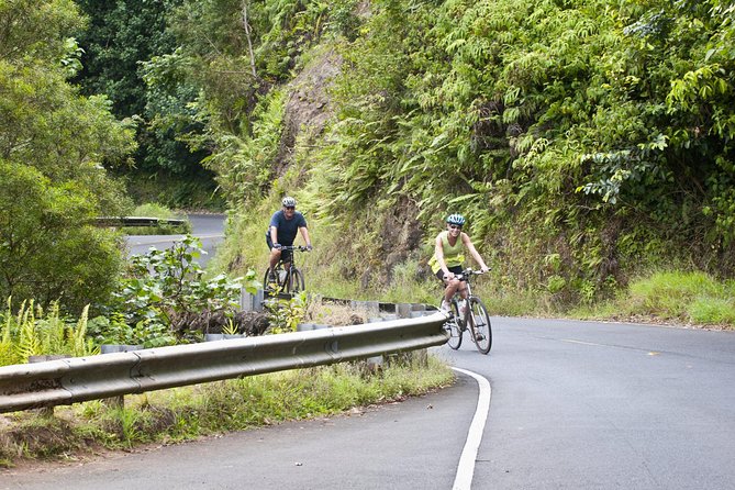 Downhill Bike and Ko'olau Waterfall Hike Tour - Why This Honolulu Bike-and-Second-Chance Waterfall Combo Works