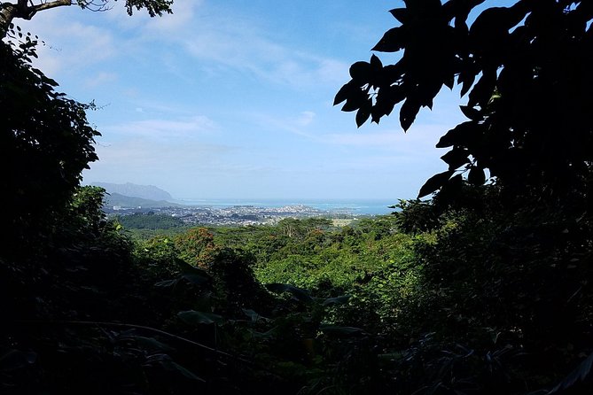 Downhill Bike and Ko'olau Waterfall Hike Tour - Timing That Can Surprise You: 9:00 Start, ~6 Hours, and the Pickup Shuffle