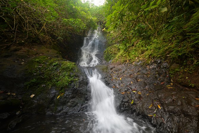 Downhill Bike and Ko'olau Waterfall Hike Tour - Quick Practical Tips Before You Go