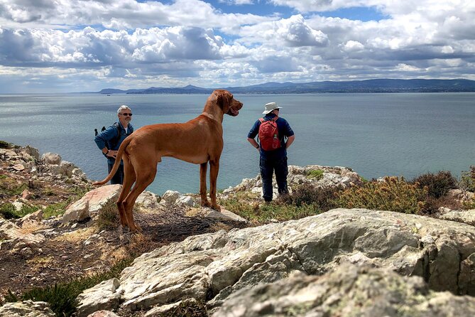 Dublin Coastal Hike with Howth Adventures - Getting to Howth: the easy Dublin day trip start