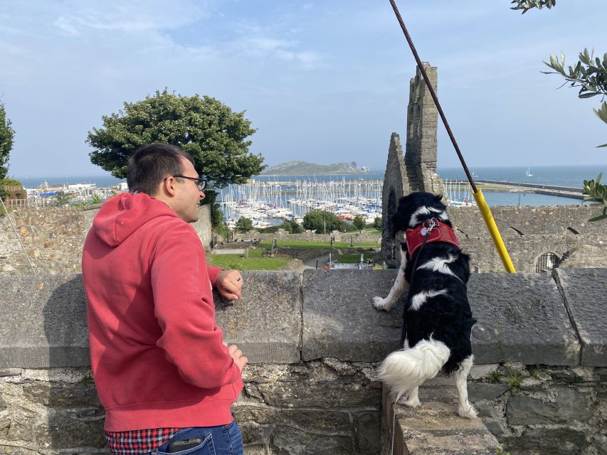 Dublin: Dublin Coastal Hike and Pints & Puppies - The end at Blood Stream: a complimentary pint that feels earned