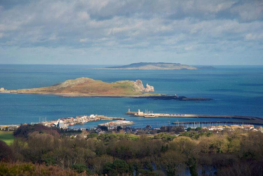 Dublin: Howth Coastal Hiking Tour - Key things you’ll notice on this Howth hike